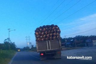 Bahagianya Petani Sumbar, Penetapan Harga TBS Sawit Naik Jadi Rp2.323,04/Kg