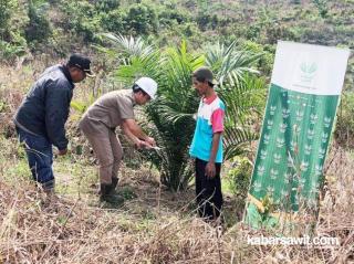Petani Sawit Diharapkan Manfaatkan Pupuk Organik untuk Tingkatkan Produktivitas