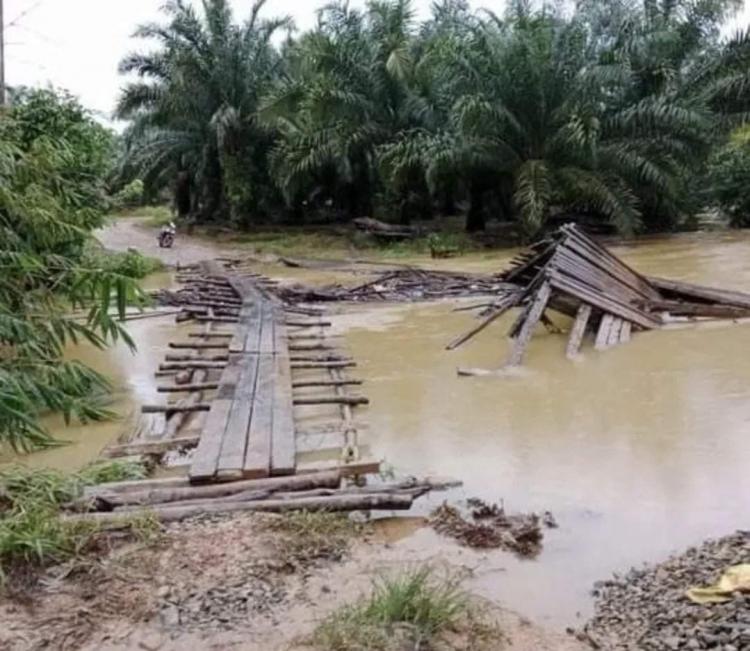 Banjir Landa Kebun Sawit di Bengkulu Utara, Petani Sulit Panen