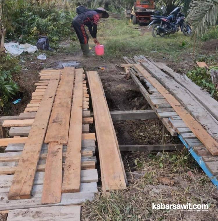 Infrastruktur yang Memadai Dibutuhkan Petani Sawit Bengkulu Utara 