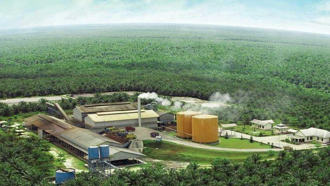 Ada Dinas PMD di Kolaborasi PKS dan Petani Sawit di Bengkulu