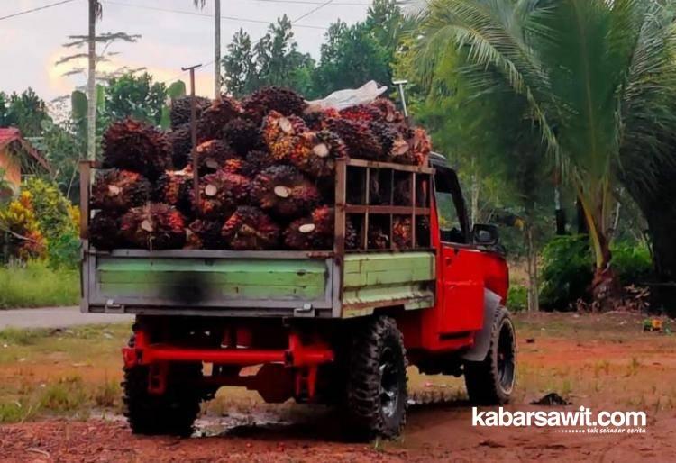 Angkutan Sawit di Bengkulu Rata-rata di Modif