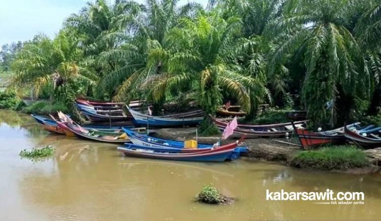 PPN Dibangun, Petani Sawit di Seluma Minta Ganti Untung!