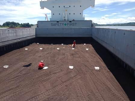 Kali ke-5 Sulawesi Barat Ekspor Cangkang Sawit ke Jepang