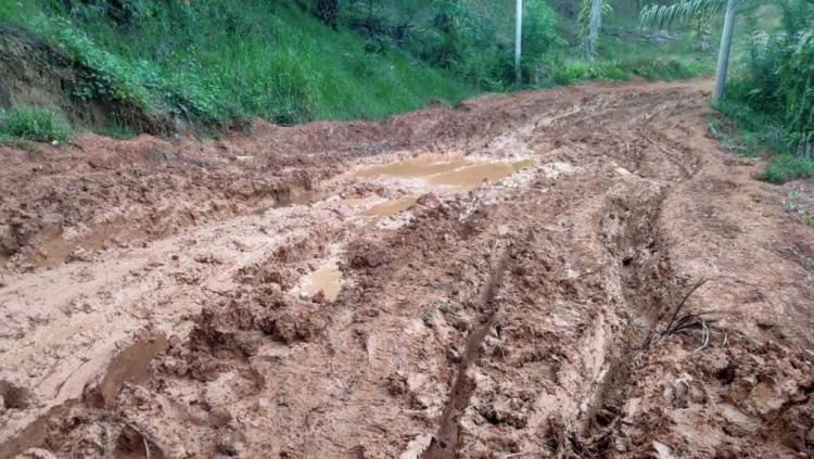 Warga Seluma Keluhkan Jalan Rusak Parah, Hasil Panen Sawit Sulit Keluar