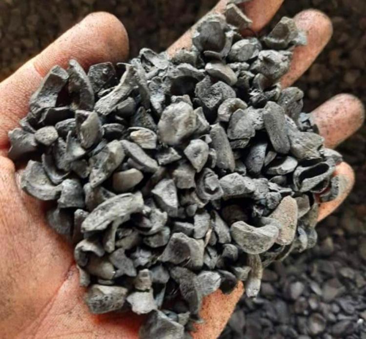 Cangkang Sawit Mesti Dimanfaatkan Guna Mendongkrak Pendapatan Petani