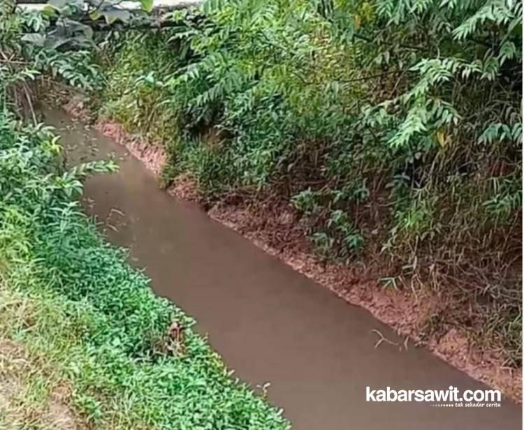 Anak Sungai Serik di Mukomuko Diduga Terkontaminasi Limbah Pabrik Sawit