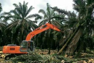 Kabar Gembira, Usulan PSR Empat Poktan Mukomuko Lampu Hijau Dari KLHK