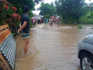 Kebun Terendam Banjir, Petani Sawit di Bengkulu Utara Minta Bantuan Pemerintah