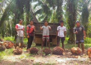 Pemprov Kalsel Dukung Penuh Pelatihan Teknis Budaya Sawit 