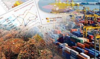 Penerimaan Bea Cukai Riau Tembus Rp1,82 Triliun, BK Ekspor CPO Paling Mentereng 