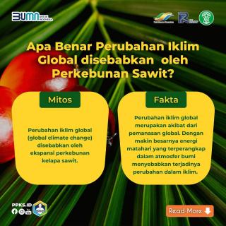 Sawit Penyebab Global Warming? Ini Faktanya