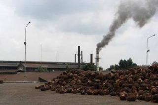 Sering Disebut Mencemari Tanah dan Air, Sawit Ternyata Paling Rendah Polutan