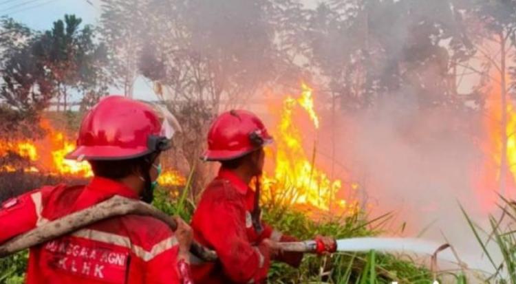 Petani di Pelalawan Dilatih Cara Menghadapi Karhutla Oleh Perusahaan ini