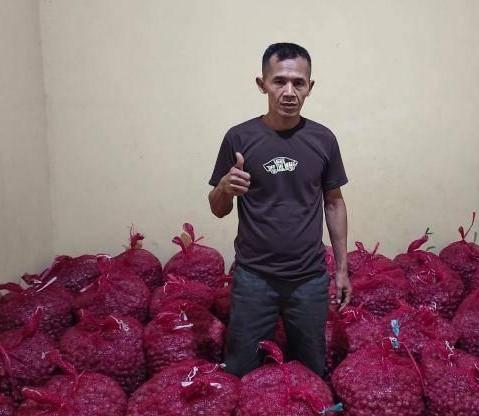 Petani Sawit ini Peroleh Keuntungan Rp 126 Juta dari Budidaya Bawang Merah