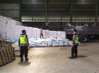 Harga TBS Sawit Naik, Pupuk Kok Ikut Naik? 