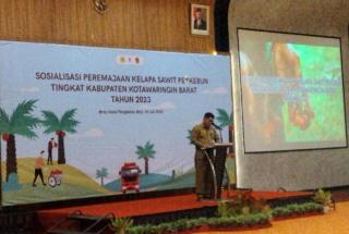 Akibat Banyak Lahan Belum Dipetakan, PSR di Kobar Terhambat