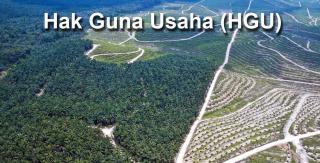 Perusahaan ini Garap Lahan di Luar HGU, DPRD Inhu Tindak Lanjut