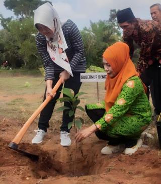 Petani Sawit Digencarkan Tanam Bibit Tanaman Produktif