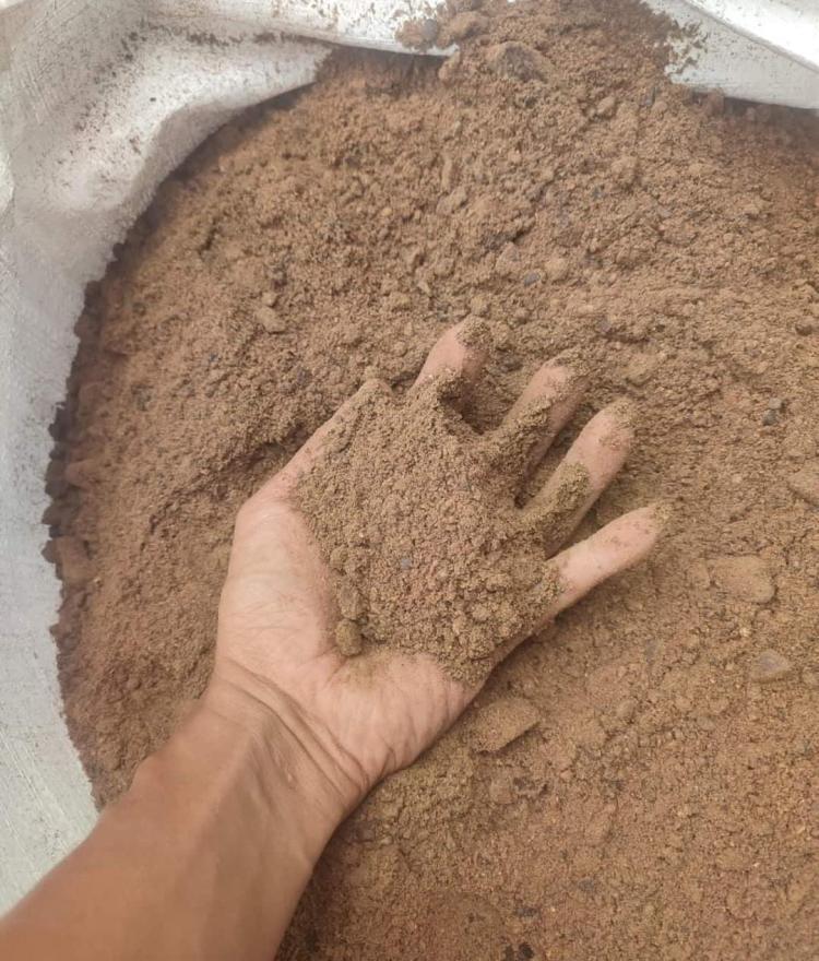 Harga Bungkil Sawit Lebih Mahal dari TBS, ini Fungsinya