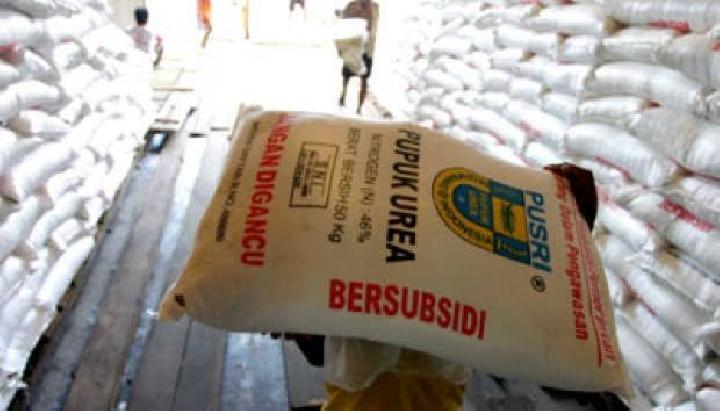 Pemprov Bengkulu Ajukan Subsidi Pupuk Sawit Diadakan Lagi