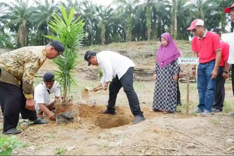 PSR Satu Poktan di Bengkulu Utara Disetujui, Dapat Dana Rp 2,3 Miliar