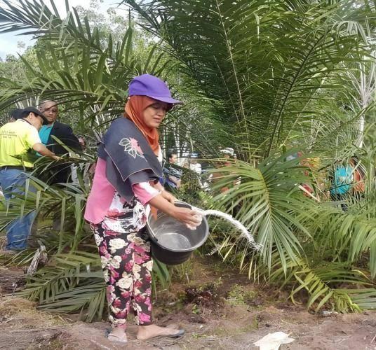 Perkembangan Mutakhir Industri Sawit Indonesia : Penghasilan Besar untuk Masyarakat Desa