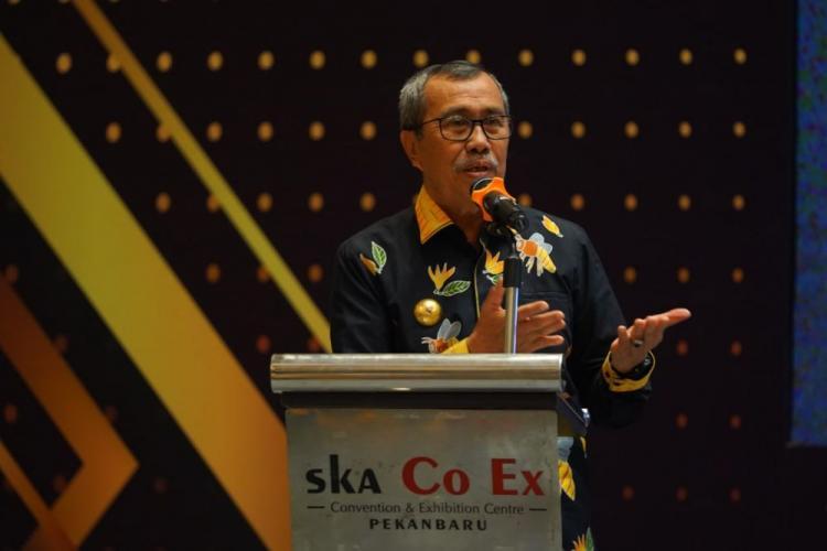 Gubri Sarankan DBH Sawit Dipakai Untuk Perbaiki Jalan Rusak