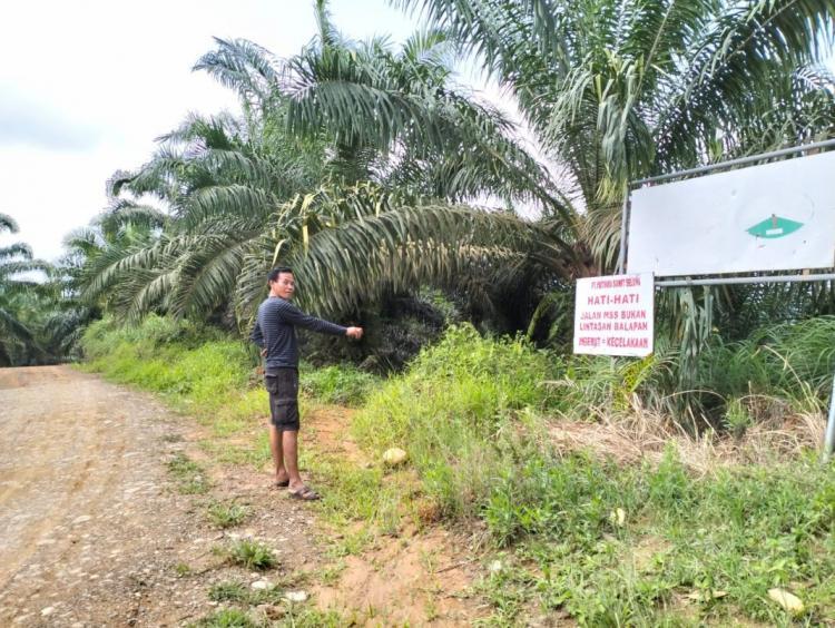 Perusahaan Sawit ini Diduga Ambil Alih Jalan Pemerintah Karena Pasang Portal Sembarangan