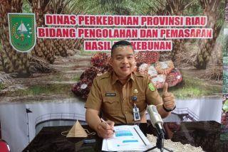 Mantap! Harga CPO dan Kernel Riau Naik, Cek Daftarnya Disini