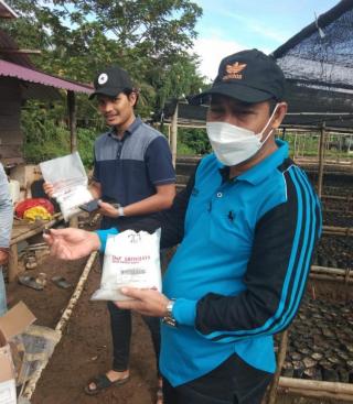 Petani Sawit Dilarang Beli Benih di Marketplace