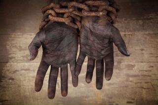 Apkasindo Minta Selidiki Kasus Dugaan Perbudakan di PT BSL