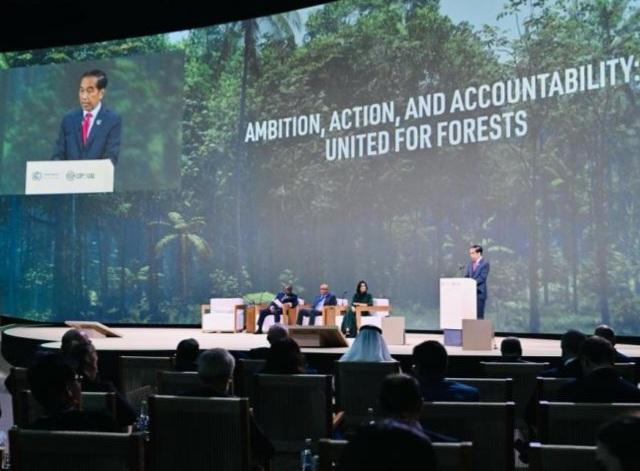 Presiden RI Paparkan Langkah Indonesia Capai Net Carbon Sink dan NZE 2060