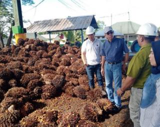 15 dari 21 Perusahaan Sawit Menjual CPO Minggu Ini, Cek Daftarnya Disini
