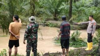 Seorang Bocah Tewas di Parit Drainase Kebun Sawit