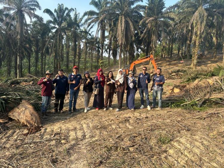 PSR di Dhamasraya Masuk Tahap Tiga, 85 Hektar Kebun Sawit Diremajakan