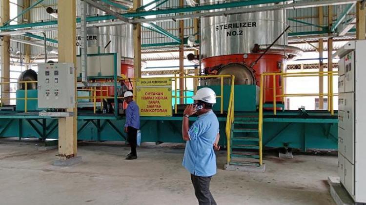 Akhirnya Pabrik Sawit di Fakfak Diresmikan