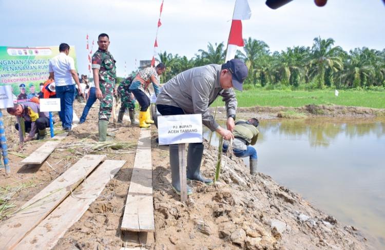 Erosi Hantam Kebun Sawit di Tamiang