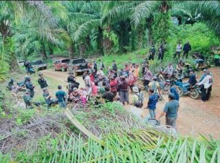 Kebun Sawit Jadi Daerah Rawan Saat Pemilu