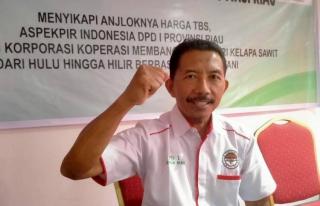 Kebun Sawit Butuh Diremajakan, Tapi Terhalang Kawasan Hutan