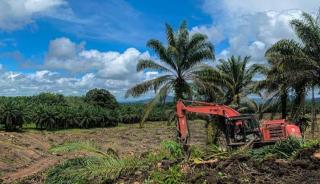 PSR 2023 Hanya Tercapai 29,2 Persen