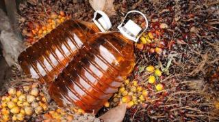 Ekspor Terbesar di Sulut Adalah Lemak dan Minyak Nabati