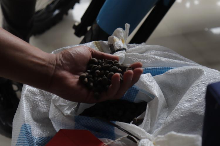 48 Ton Inti Sawit Milik PTPN 1 Regional 7 Dicuri