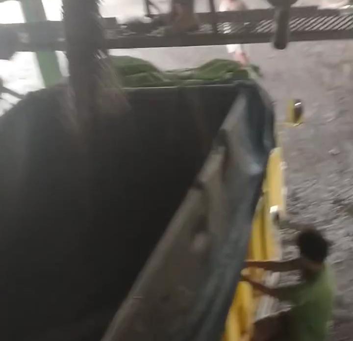 Otoritas Tender Terus Naikkan Harga Palm Kernel