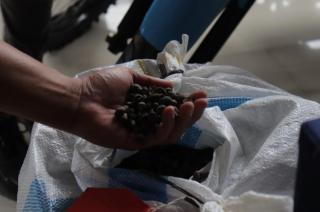 48 Ton Inti Sawit Milik PTPN 1 Regional 7 Dicuri