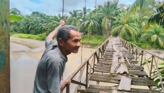 Jembatan Akses Angkutan Sawit Rusak Berat, Begini Penampakannya