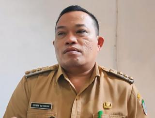 Petani Sawit di Bengkulu Berbondong-bondong Jual Kebun, Ini Alasannya