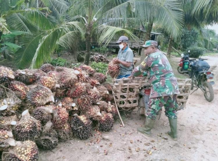 Petani Sawit Tak Boleh Lengah Walau Libur Lebaran