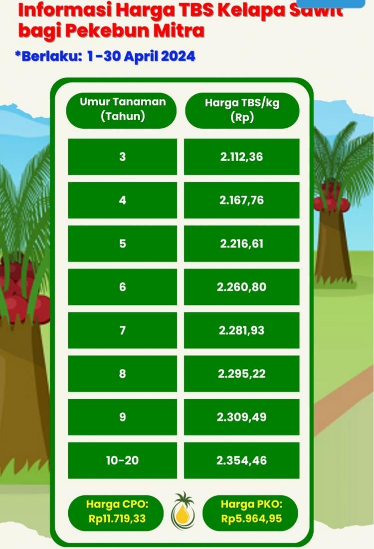 Fantastis, Harga Sawit di Kaltara Melesat Tajam