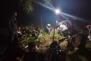 Petani Harus Waspada, Pencurian Sawit Makin Marak Jelang Lebaran